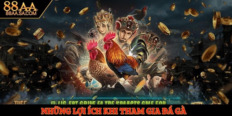 Đá gà cựa dao được phát sóng trực tiếp qua internet, người chơi có thể xem trực tiếp