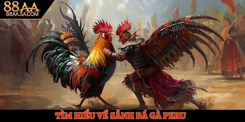 Đá gà Peru là kết quả của sự hợp tác giữa 88AA và các trường gà lớn tại Campuchia