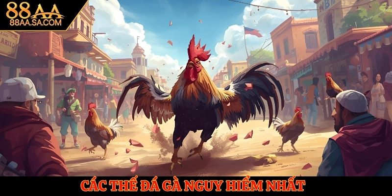 Những thế đá gà Peru nguy hiểm giúp hạ gục đối thủ nhanh nhất