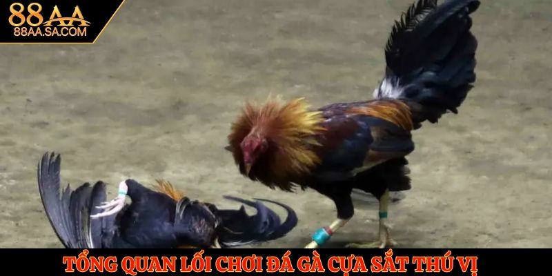 Tổng quan lối chơi đá gà cựa sắt thú vị